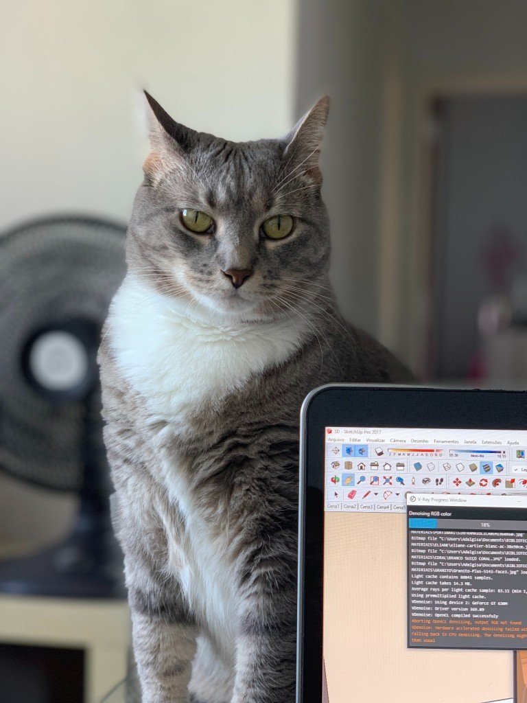 cat tool - computer assisted translation - miranda traduzioni